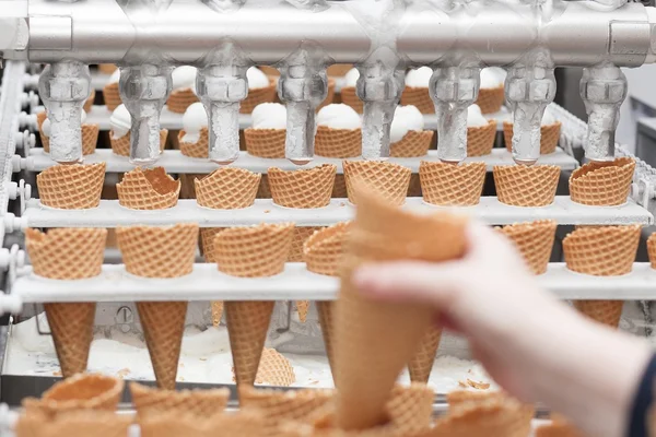 Eis auf Fabrik — Stockfoto