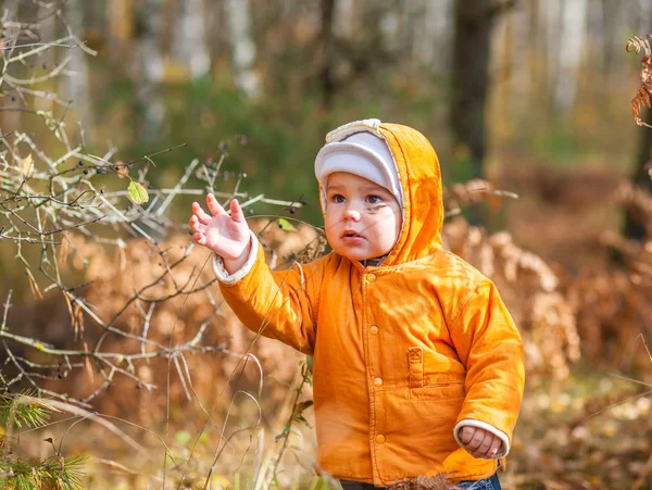 Kayıp bir ağlayan çocuk portresi — Stok fotoğraf