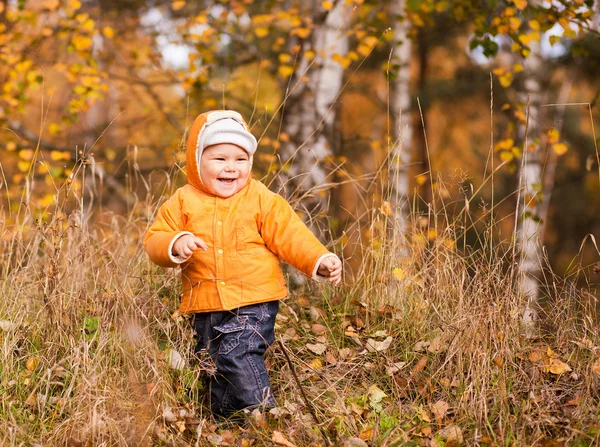小男孩微笑与叶在片秋色的公园 — 图库照片