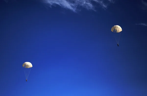 Parachutistes sur fond de ciel bleu — Photo