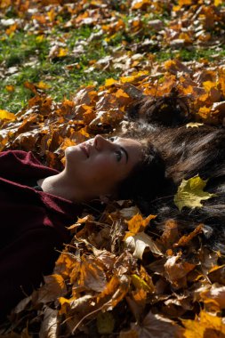 Güneşli bir günde sonbahar ormanında güzel bir genç kız.