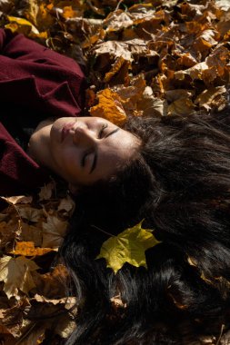 Güneşli bir günde sonbahar ormanında güzel bir genç kız.