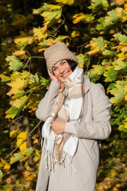 Güneşli bir günde sonbahar ormanında güzel bir genç kız.