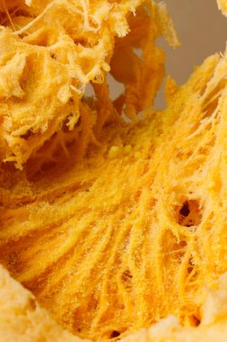 Bir parça balkabağı resmi. Makro fotoğrafçılık. Sert ışık.