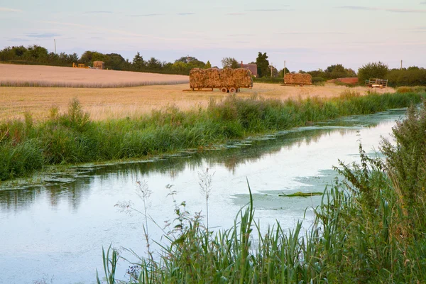 Harvesting by the canal in Somerset — Stock Photo, Image