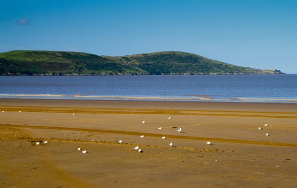 Brean çevre weston-super-mare aşağı — Stok fotoğraf