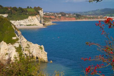 bira ve seaton Devon uçurumlar