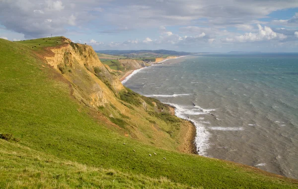 Bella costa giurassica del Dorset guardando verso West Bay — Foto Stock