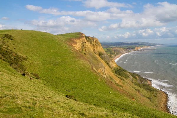 Patrząc w kierunku Zachodniej zatoki wybrzeża Dorset — Zdjęcie stockowe