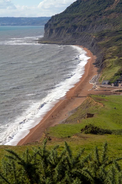 Seatown plaj ve kıyı şeridi dorset — Stok fotoğraf