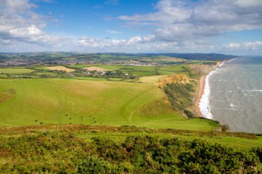 Dorset kırsal ve sahil İngiltere İngiltere