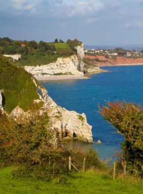 cerveza y seaton playas de devon