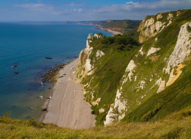 Branscombe beach devon sidmouth ve ladram bay doğru