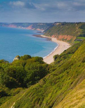 Branscombe beach devon sidmouth ve ladram bay doğru