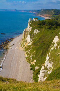 Branscombe beach devon sidmouth ve ladram bay doğru