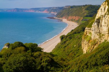 Branscombe beach devon sidmouth ve ladram bay doğru