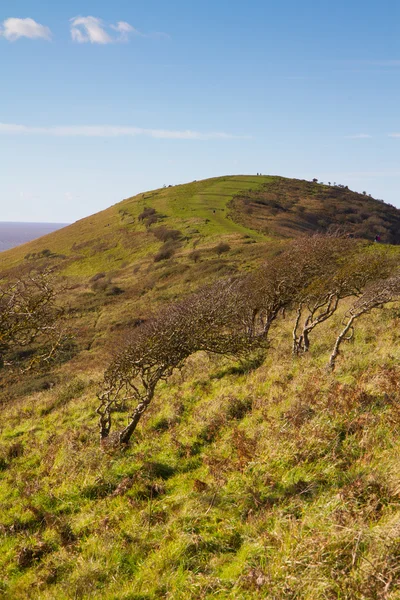 Walk along Brean Down in Somerset — Stock Photo, Image