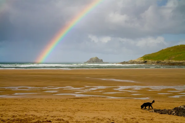 kötü huy ve gökkuşağı Beach deki cornwall İngiltere İngiltere