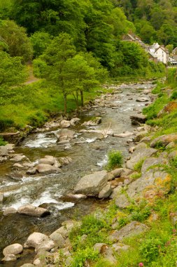 nehir lyn lynmouth devon İngiltere
