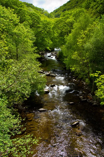 Řeka v anglickém venkově — Stock fotografie
