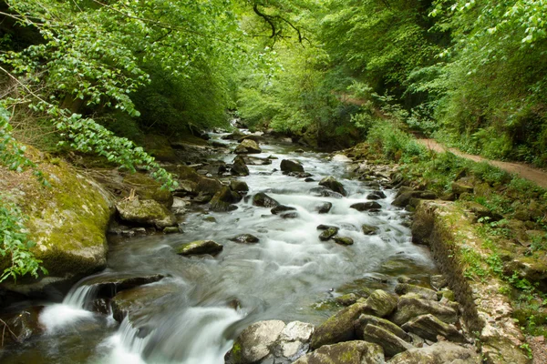 Stream in English countryside — Stock Photo, Image