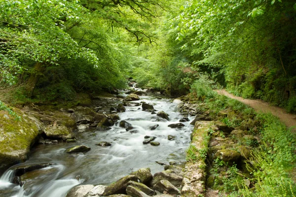 Brook in English countryside — Stock Photo, Image