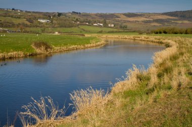 nehir balta somerset İngiltere'de