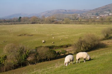 Cheddar rezervuar somerset İngiltere'den göster