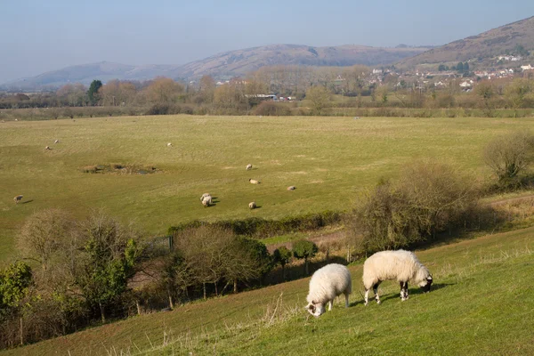 View from Cheddar Reservoir Somerset England — Stock Photo, Image