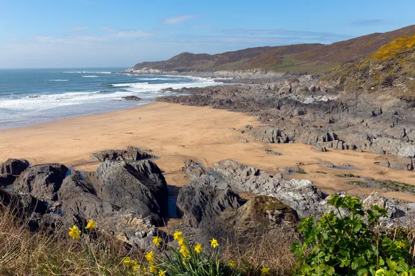 Woolacombe bay beach and coast Devon England view towards Morte Point — Stock Photo, Image