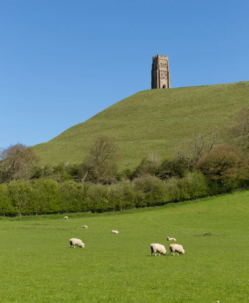 Glastonbury Tor Somerset England uk — Stock Photo, Image