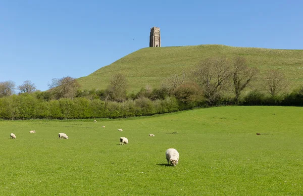 Glastonbury Tor Somerset Inglaterra uk — Fotografia de Stock