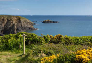 caerfai defne st gelinler defne pembrokeshire Batı İngiltere Galler