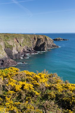 caerfai defne pembrokeshire Galler'in İngiltere'de