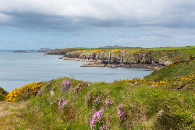 Pembrokeshire sahil Batı İngiltere Galler