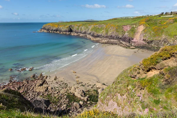 Pembrokeshire caerfai κόλπο δυτικά Ουαλία Ηνωμένο Βασίλειο — Φωτογραφία Αρχείου