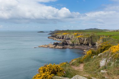 Sahil pembrokeshire Galce