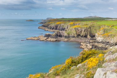 Galler yol pembrokeshire İngiltere'de caerfai bay gelen st nons Bay'e sahil