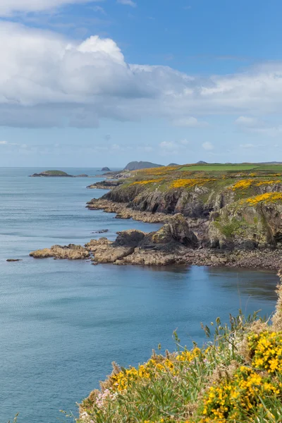 Pembrokeshire coast zachodniej Walii, Wielka Brytania — Zdjęcie stockowe
