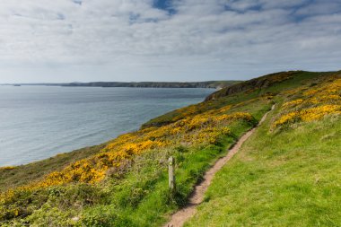 Pembrokeshire sahil Newgale ve raşitizm kafa St gelin 's Bay Wales