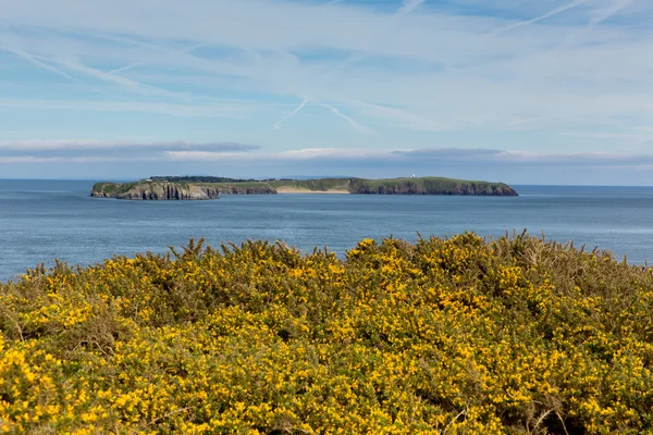Caldey Adası lydstep pembrokeshire Galler tenby lydstep ve manorbier — Stok fotoğraf