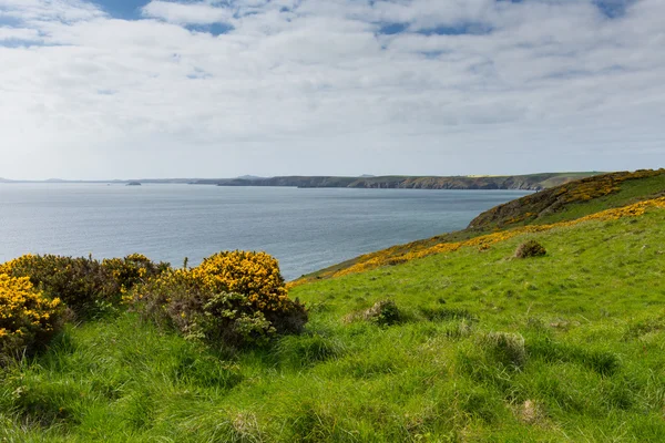 Pembrokeshire coast in richtung neworale und rackets head st braut 's bay wales — Stockfoto