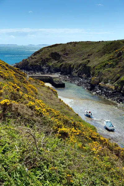 Porthclais perto de St Davids Pembrokeshire Wales — Fotografia de Stock