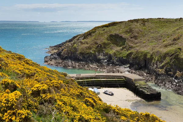 Porthclais harbour pembrokeshire west wales. lizenzfreie Stockbilder