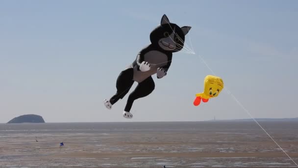 Cometa de gato en el Weston-super-Mare Kite Festival en Somerset Inglaterra — Vídeos de Stock