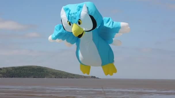 Búho cometa en Weston-super-mare kite festival — Vídeo de stock