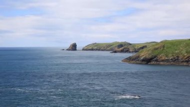 skomer Adası batı Galler