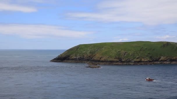 Skomer Island Pembrokeshire West Wales known for Puffins, wildlife and a National Nature Reserve — Stock Video