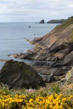 skomer Adası wales doğru Pembrokeshire sahil sahne alan puffins ve yaban hayatı ile bilinen