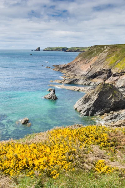 Welsh kystnære scene mod Skomer Island Pembrokeshire - Stock-foto